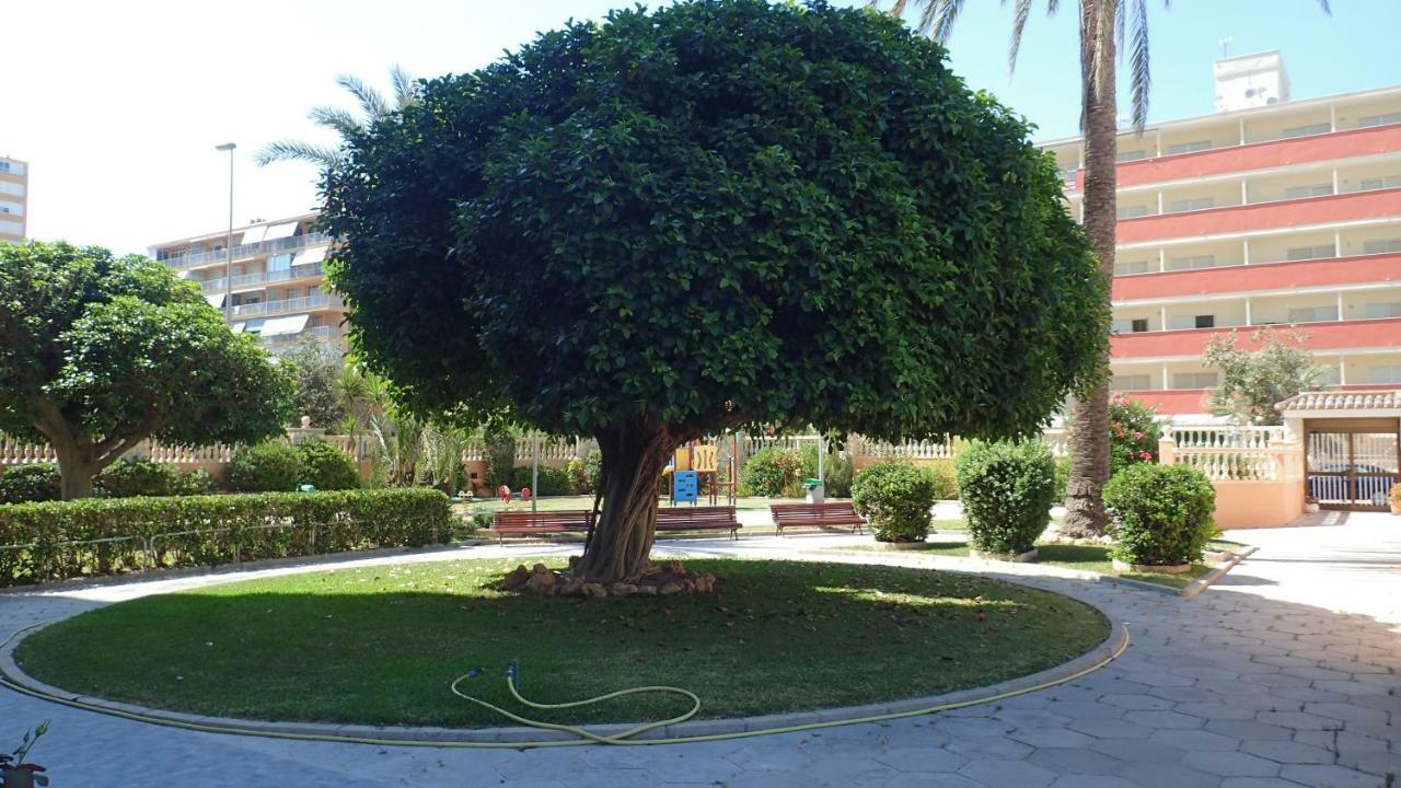Tortuga Flat Διαμέρισμα Αλικάντε Εξωτερικό φωτογραφία