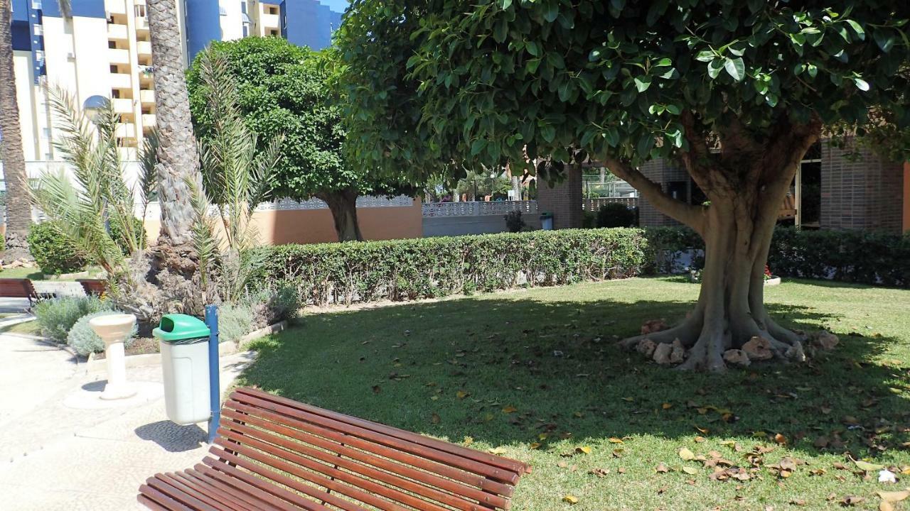 Tortuga Flat Διαμέρισμα Αλικάντε Εξωτερικό φωτογραφία